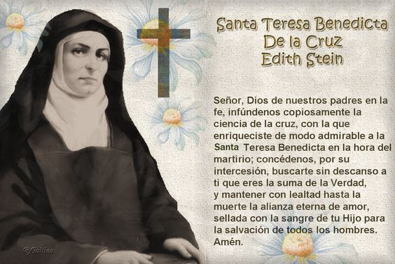 STBDC ES